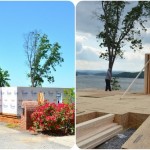 1stfloorwalls