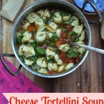 cheese tortellini soup cheese tortellini soup