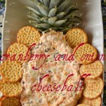 cranberryandonioncheeseball