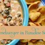 cheeseburgersoup