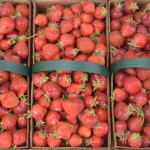 strawberries