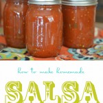 how to make salsa how to make salsa