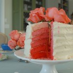 cakeandkaraoke