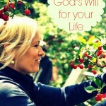 How to Find God How to Find God