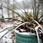 january