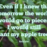plantmyappletree