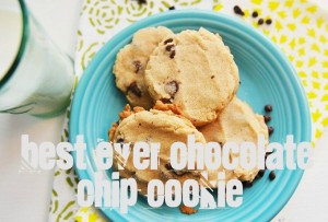 chocolate chip cookie recipe