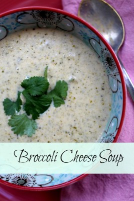 THE BEST broccoli cheese soup via lifeingrace!