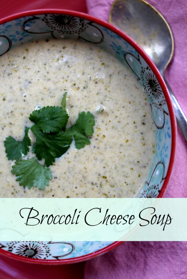 broccoli cheese soup