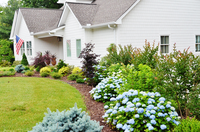 summerhousehydrangeas