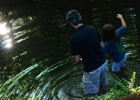 wading-in-creek