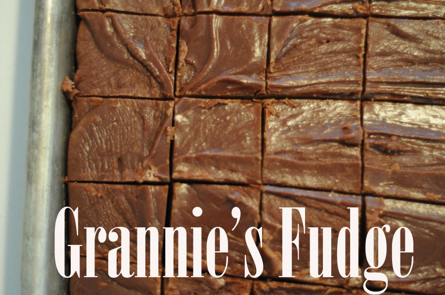 fudge2-900x597