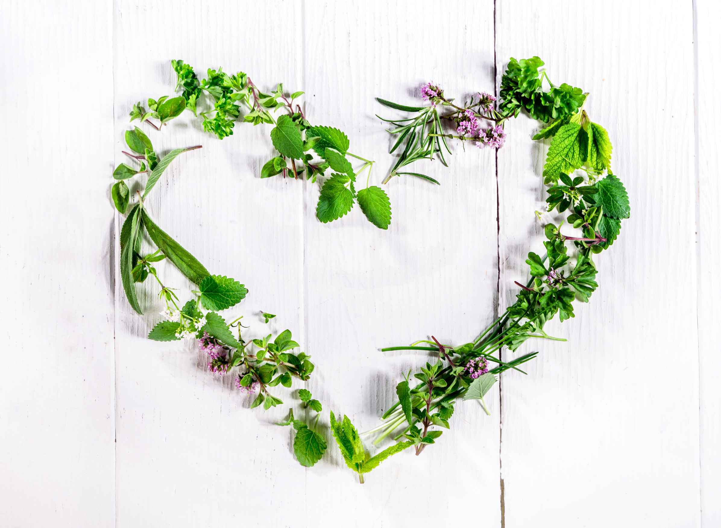 28651652 - heart shaped frame of assorted sprigs of fresh green culinary herbs arranged on a rustic white wooden background symbolic of love and romance with central copyspace